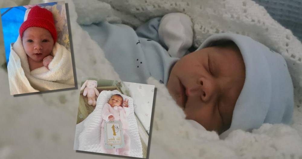 Ayrshire lockdown babies: Meet the adorable arrivals born during COVID-19 pandemic - www.dailyrecord.co.uk