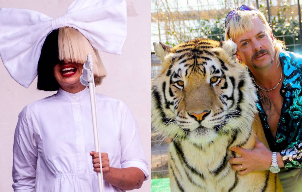 Sia shares ‘Tiger King’-inspired music clip featuring Maddie Ziegler - www.nme.com