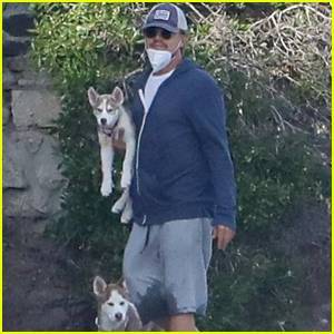 Leonardo DiCaprio Takes Camila Morrone's Foster Dogs Jack & Jill For Walk on The Beach - www.justjared.com - Los Angeles - county Jack