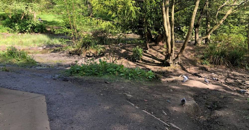Dad's warning after son sank in mud 'up to his chest' near duck pond at Heaton Park - www.manchestereveningnews.co.uk
