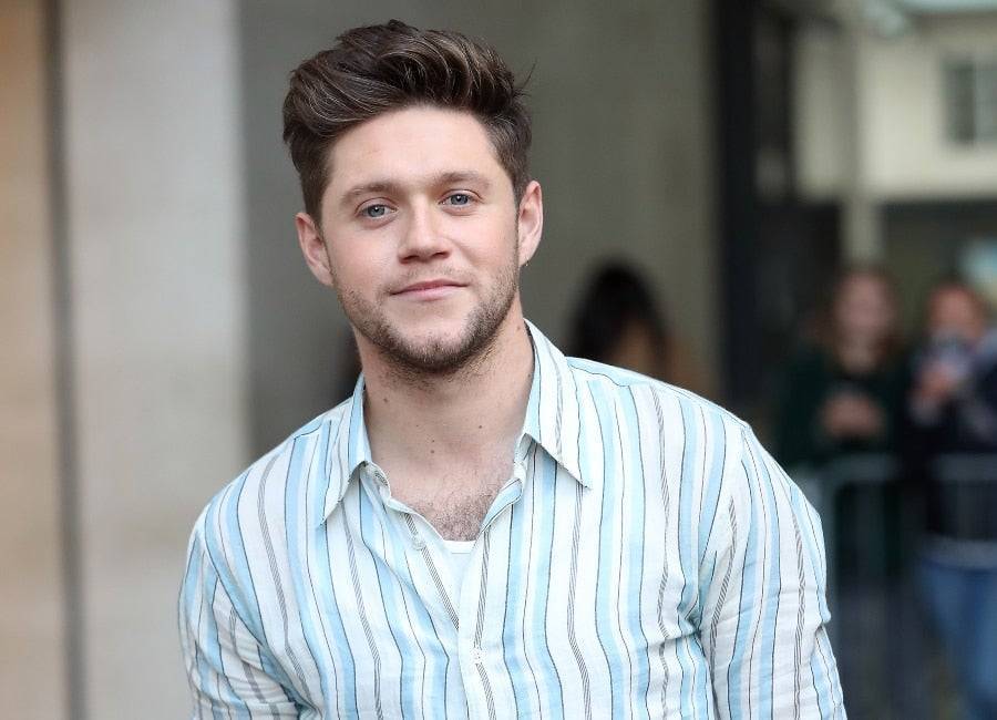 WATCH: Niall Horan unites Irish artists in impassioned speech about staying home - evoke.ie - Ireland