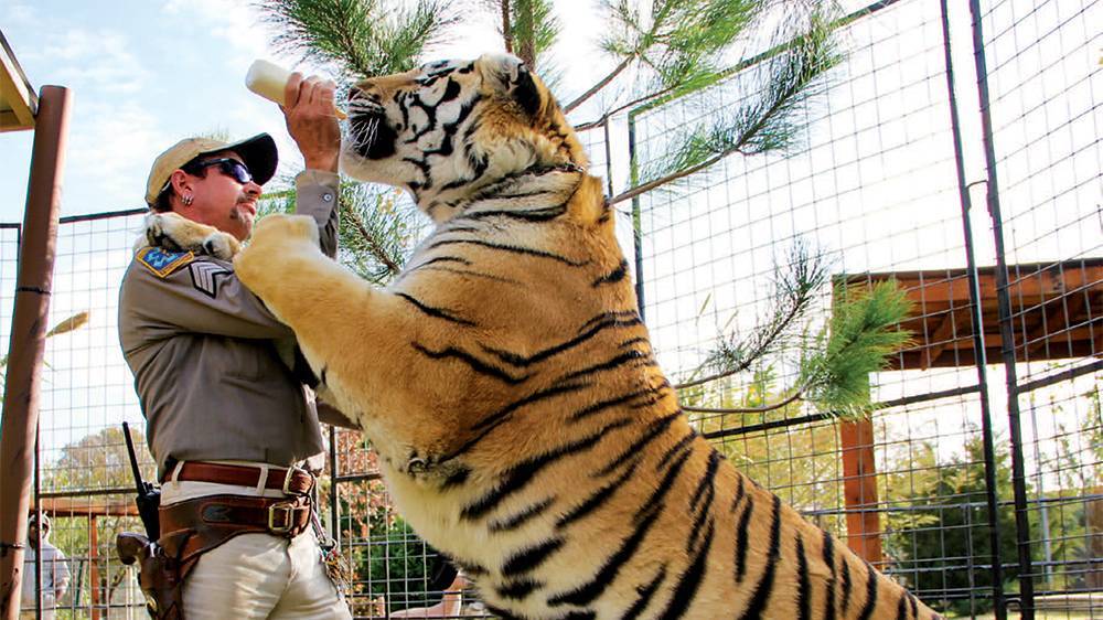 After ‘Tiger King,’ Celebrities Rally Around Passage of Big Cat Public Safety Act - variety.com