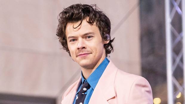 Harry Styles Reveals Why He Doesn’t Want To Reunite With 1D During Quarantine Zoom Call - hollywoodlife.com