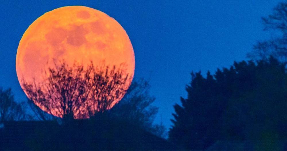 Supermoon to light up night skies later this month in biggest lunar spectacle of the year - www.dailyrecord.co.uk - Greece
