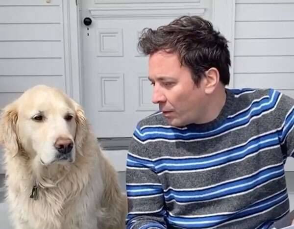 Watch Jimmy Fallon Get Trolled By His Dog During Hilarious "Interview" - www.eonline.com