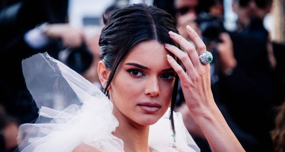 Kendall Jenner claps back at troll in a NSFW tweet - www.who.com.au