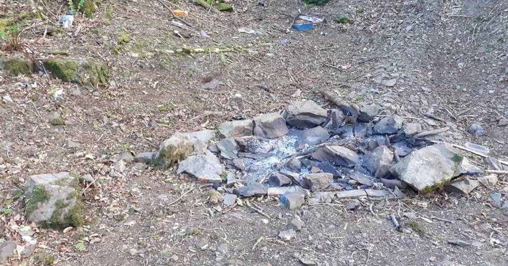 Kirkcudbright community councillor hits out at "senseless" litterbugs for starting fire in Barrhill Woods - www.dailyrecord.co.uk