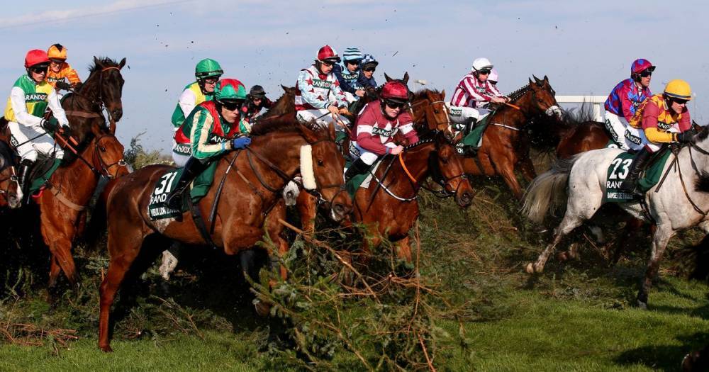 Virtual Grand National winner, placings and all the results - www.dailyrecord.co.uk