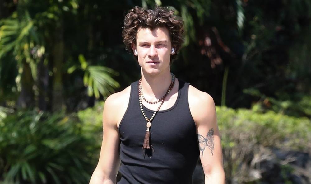 Shawn Mendes Goes for a Solo Walk in Florida - www.justjared.com - Miami - Florida