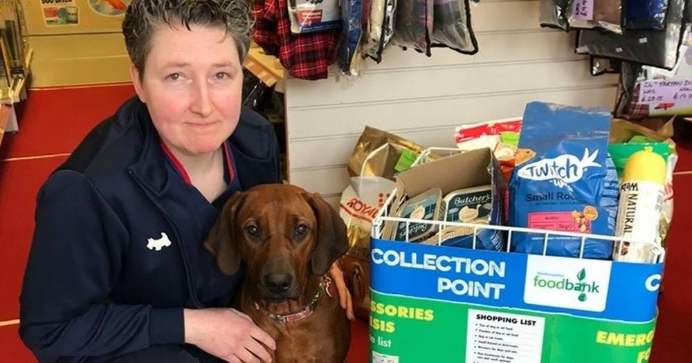 Pet shop ensures Renfrewshire animals will be looked after during lockdown - www.dailyrecord.co.uk