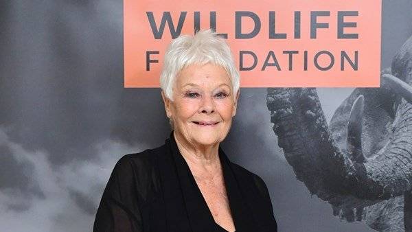 Dame Judi Dench reveals she has not read any Cats reviews - www.breakingnews.ie