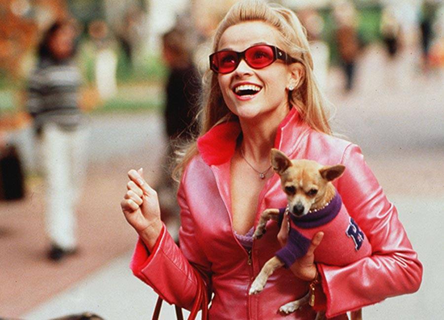 Reese Witherspoon hints Legally Blonde 3 could be in the works - evoke.ie