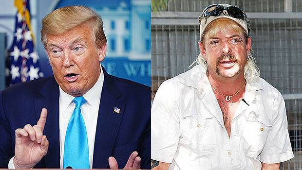 Donald Trump Says He’ll ‘Take A Look’ At Possibly Pardoning ‘Tiger King’ Joe Exotic Fans Go Wild — Watch - hollywoodlife.com