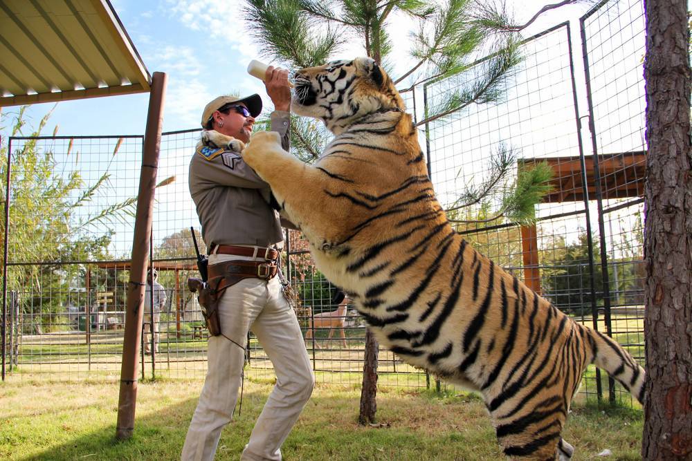 ‘Tiger King’ Joe Exotic: Fox and TMZ to expose ‘What Really Went Down’ - nypost.com