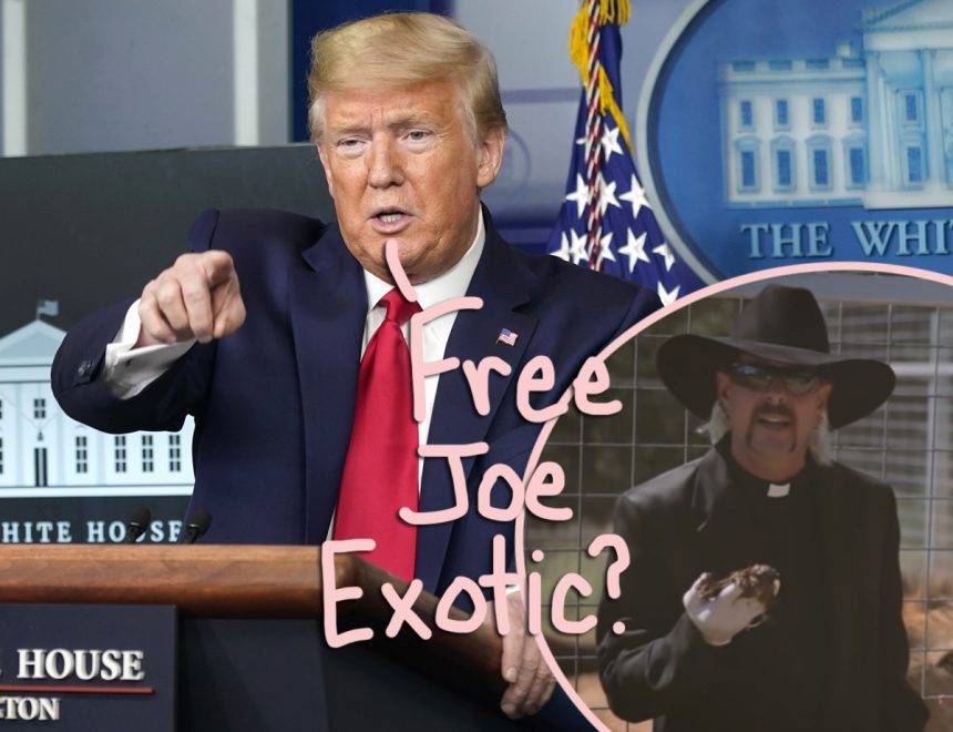 Donald Trump Tells Reporter He’ll ‘Look Into’ Presidential Pardon For Tiger King Star Joe Exotic… - perezhilton.com