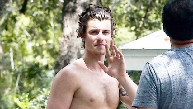 Shawn Mendes, Tyler Cameron, More Hunks Exercising Shirtless While Self-Isolating - hollywoodlife.com