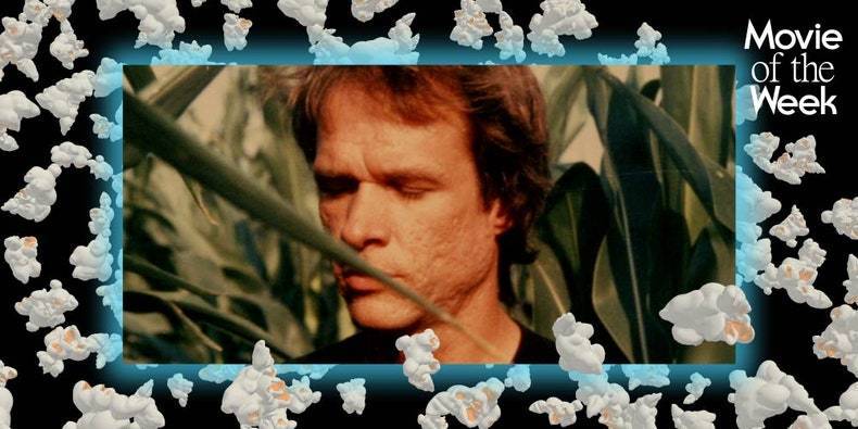 Wild Combination Mirrors the Dreaminess of Arthur Russell’s Music on Film - pitchfork.com - county Arthur - county Russell
