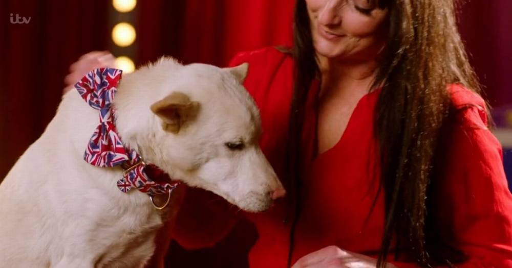 The incredible story of the dog saved from Thailand's illegal meat trade who ended up on Britain's Got Talent - www.manchestereveningnews.co.uk - Britain - Thailand - Vietnam