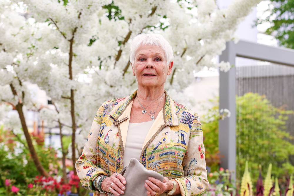 Judi Dench Looks Back At Being Told She Doesn’t Have A Face For Film - etcanada.com