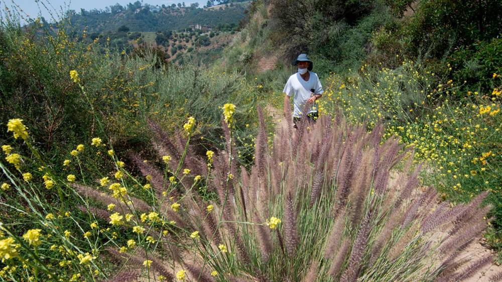 Los Angeles Reopens Trails, Golf Courses, Select Retail Stores - www.hollywoodreporter.com - Los Angeles - California - Los Angeles