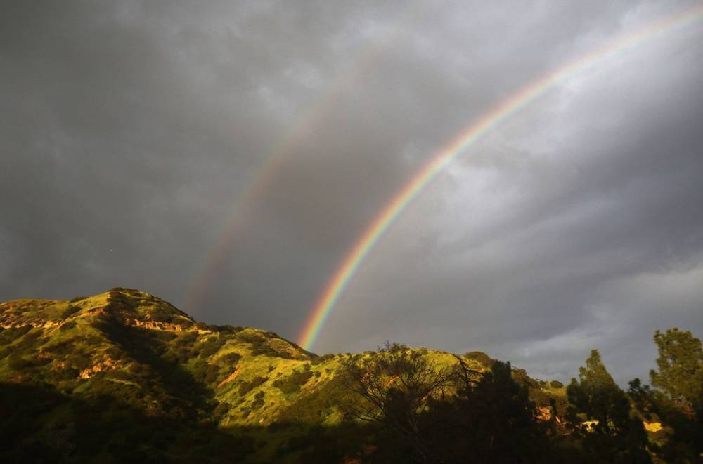 Viral Video Sensation ‘Double Rainbow Guy’ Dies at 57 - www.billboard.com - California - county Bee