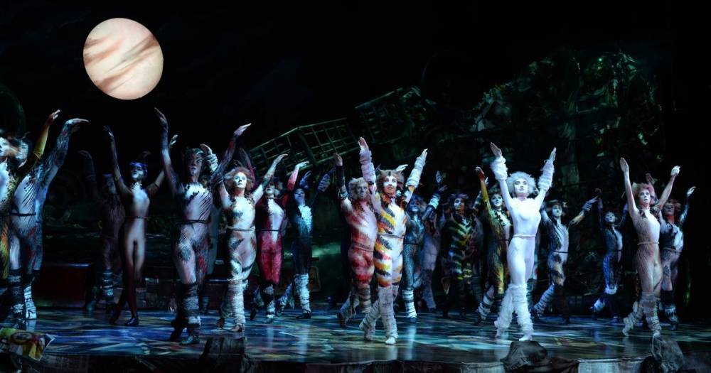 Andrew Lloyd Webber's CATS is being streamed for free this week - www.manchestereveningnews.co.uk