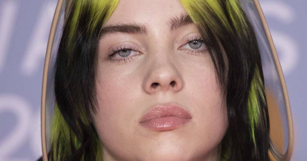 Billie Eilish and her family granted temporary restraining order against obsessed fan who showed up at her home seven times - www.msn.com