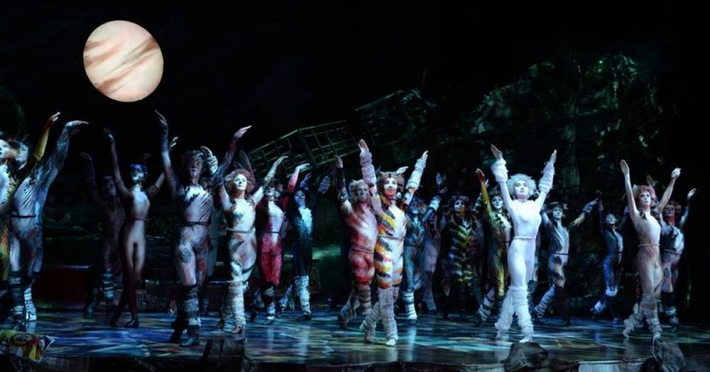 Andrew Lloyd Webber's CATS is streaming for free this week - here’s how to watch the famous musical - www.dailyrecord.co.uk - Britain