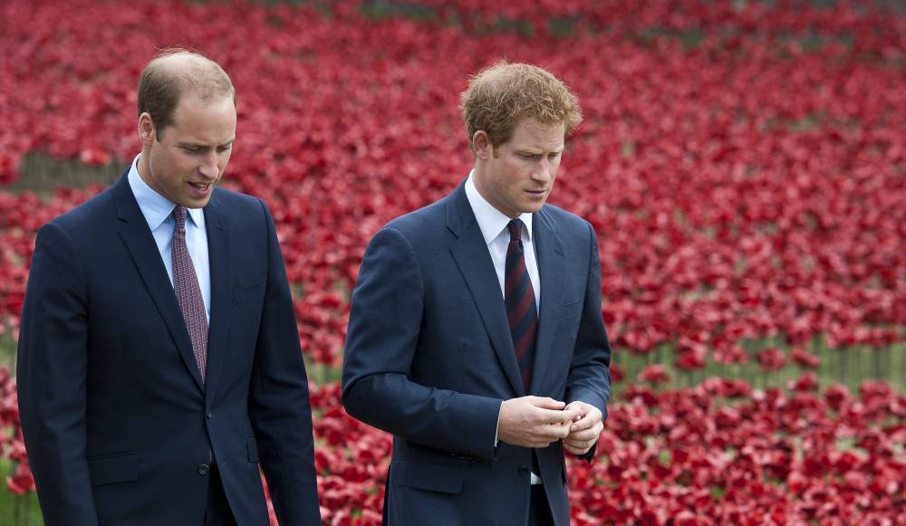 Prince Harry ‘Back In Touch’ With Prince William After His Move To L.A. - etcanada.com