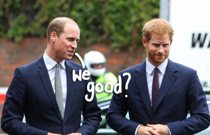 Prince Harry & Prince William Finally ‘Back In Touch’ After ‘Major Rifts’ In Their Relationship! - perezhilton.com