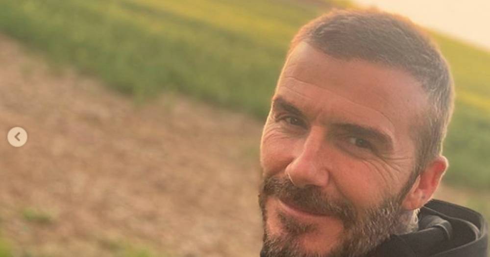 David Beckham sports a fuller head of hair while on run in the Cotswolds days after displaying thinning locks - www.ok.co.uk
