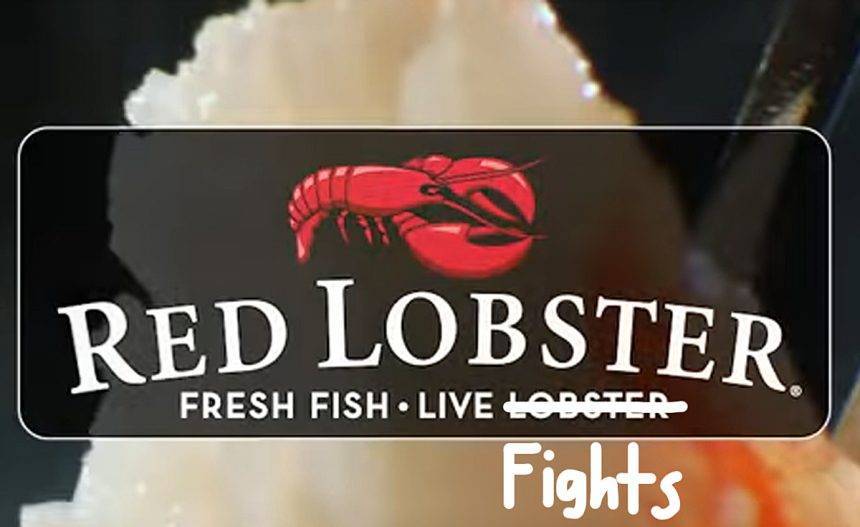 Fight Breaks Out At Red Lobster After Customer Flips Her Biscuits Over 3-Hour Wait — Watch! - perezhilton.com - Pennsylvania