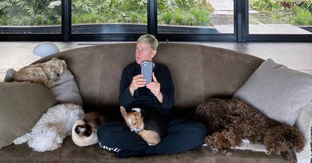Inside Ellen DeGeneres' luxury Californian home she shares with wife Portia De Rossi - www.ok.co.uk - USA