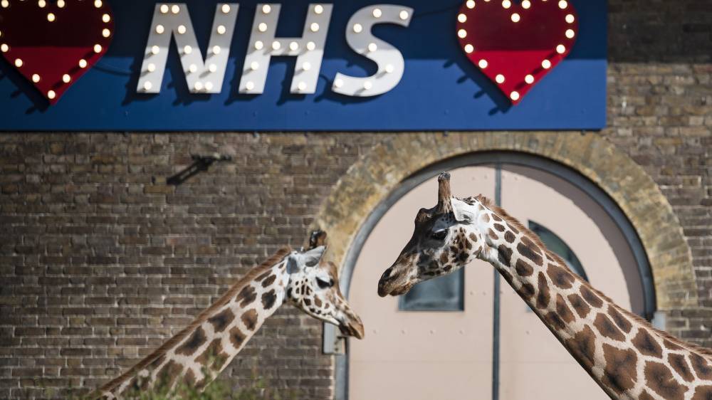 ITV Series To Go Inside London Zoo During Coronavirus Lockdown - deadline.com