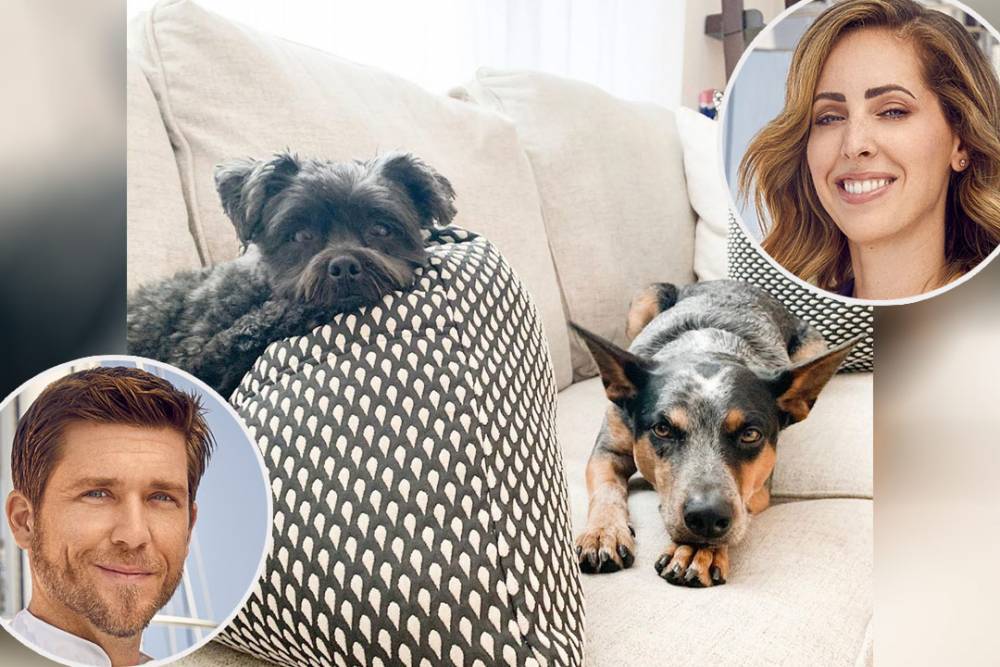 Turns out Adam Glick and Jenna MacGillivray's Dogs Are Also Compatible - www.bravotv.com