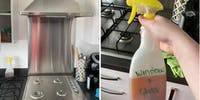 Mum shares her budget stainless steel cleaning hack and the results are amazing! - www.lifestyle.com.au