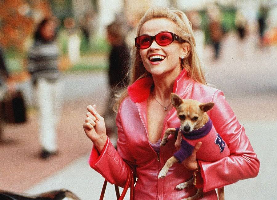It looks like Legally Blonde 3 is a go as well-known comic hired to write script - evoke.ie