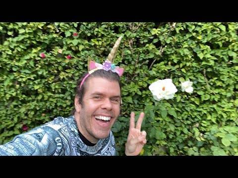 Jeffree Star Beefing With James Charles – Again! Pete Davidson Is Obsessed With Me! Ellen DeGeneres Hates Her Staff! And MORE! | Perez Hilton - perezhilton.com