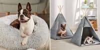 BIG W release budget pet range, including accessories, bedding, toys and more - www.lifestyle.com.au