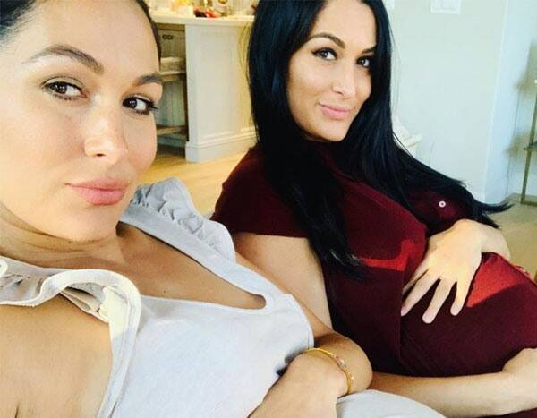 Brie and Nikki Bella Reveal Who's Having More Pregnancy Sex - www.eonline.com