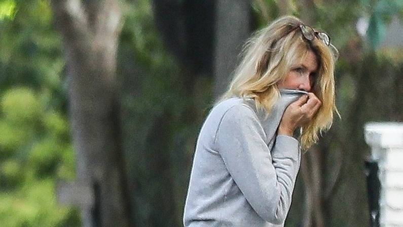 Laura Dern Uses Her Sweatshirt as a Mask While Walking Her Dog - www.justjared.com - county Pacific