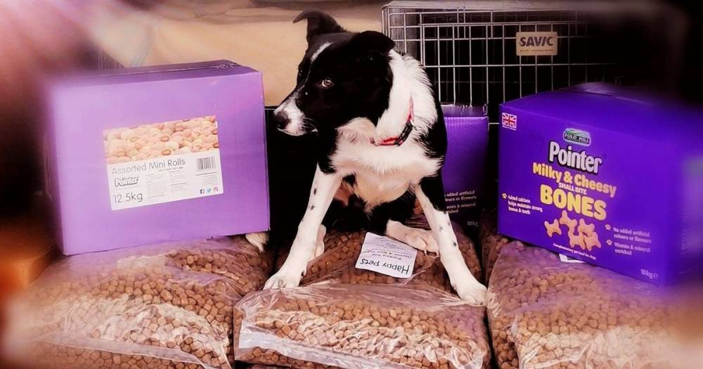 Dumfries and Galloway Canine Rescue Centre salute police for donation of dog food, biscuits and treats - www.dailyrecord.co.uk