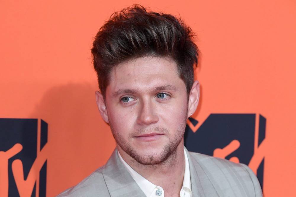 Niall Horan Shuts Down Hopes Of A One Direction Anniversary Reunion ‘For Now’ - etcanada.com