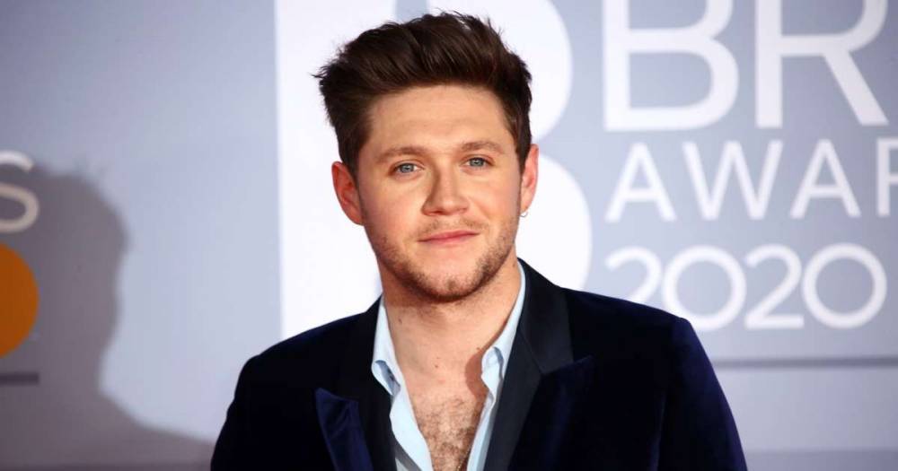 Niall Horan casts doubt over One Direction reunion - www.msn.com
