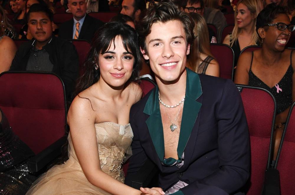 Camila Cabello Gets Cozy at Home With Shawn Mendes & Her Dogs: See the Photo - www.billboard.com