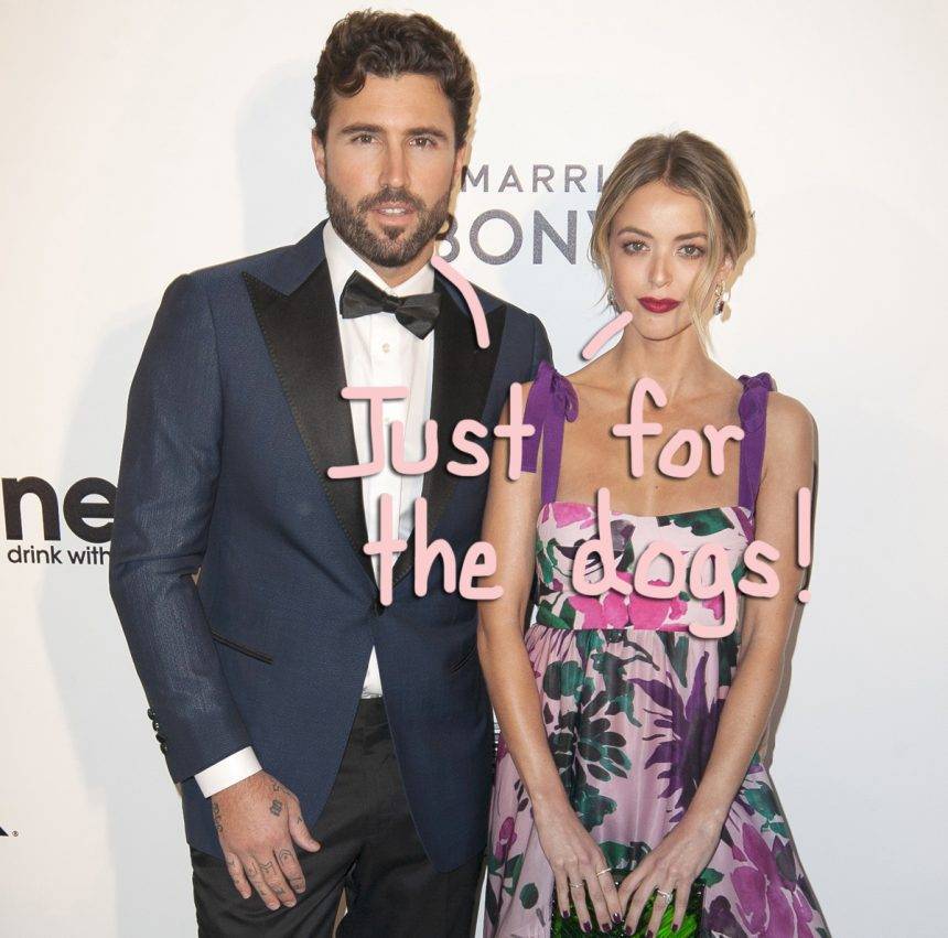 Brody Jenner & Kaitlynn Carter Aren’t Back Together — They’re Just Co-Parenting Dogs! - perezhilton.com