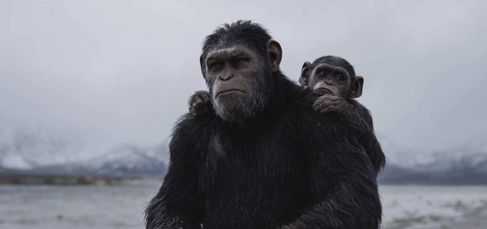 ‘Planet Of The Apes’: Wes Ball Has A New Take For The Sequel But Assures Fans “You’re In Good Hands” - theplaylist.net