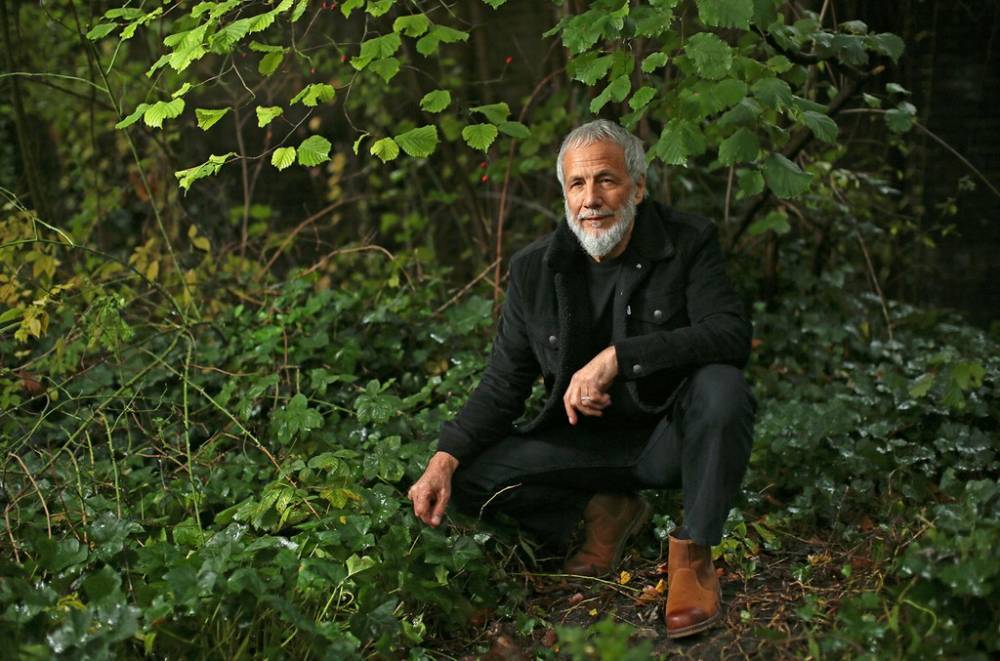 Yusuf/Cat Stevens On Reimagining His 1970 Classic, 'Tea For The Tillerman' 50 Years Later - www.billboard.com - Britain
