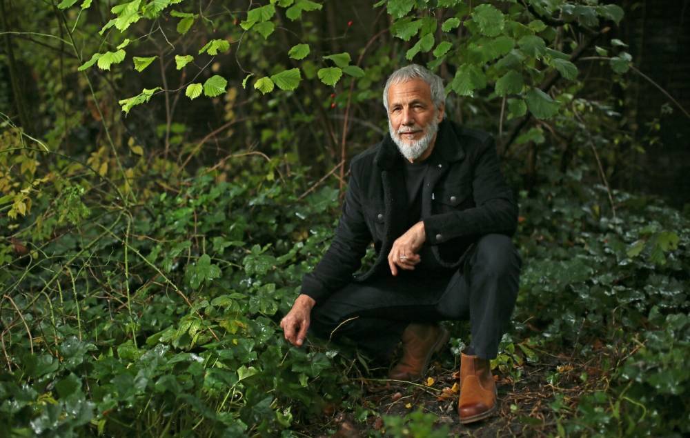 Yusuf/Cat Stevens to release reimagined version of ‘Tea for the Tillerman’ - www.nme.com - Britain