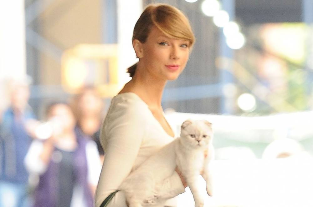 Which Celebrity's Pets Would You Want to Quarantine With? Vote! - www.billboard.com